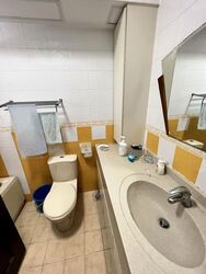 fern-view photo thumbnail #12